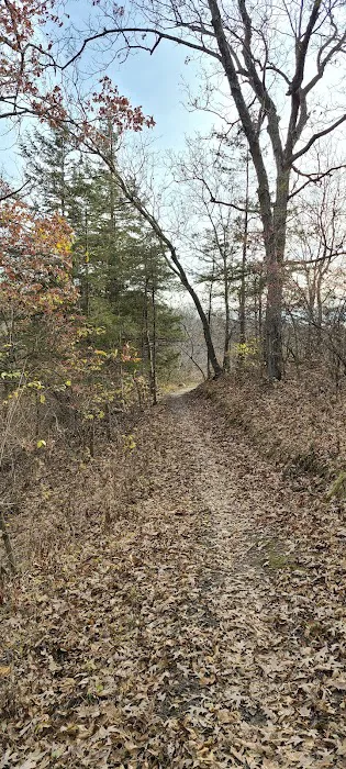 Whiterock Conservancy Star Field Campground Picture 6
