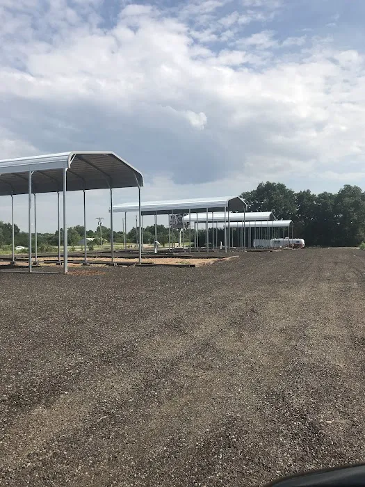 Green Park RV Resort Picture 2