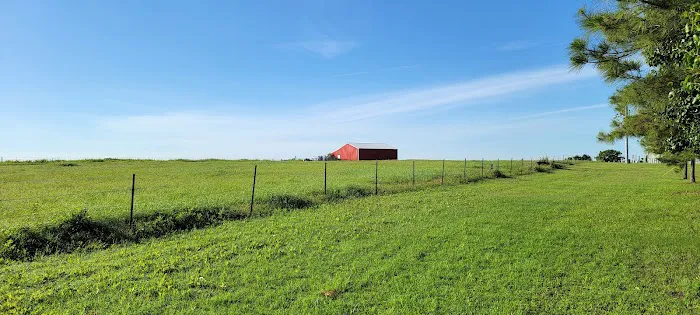 Yearling RV Park Picture 9