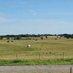 Yearling RV Park