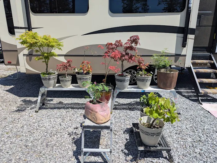 LA-RV Picture 2