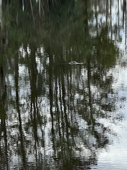 Cypress Haven RV Park Picture 8