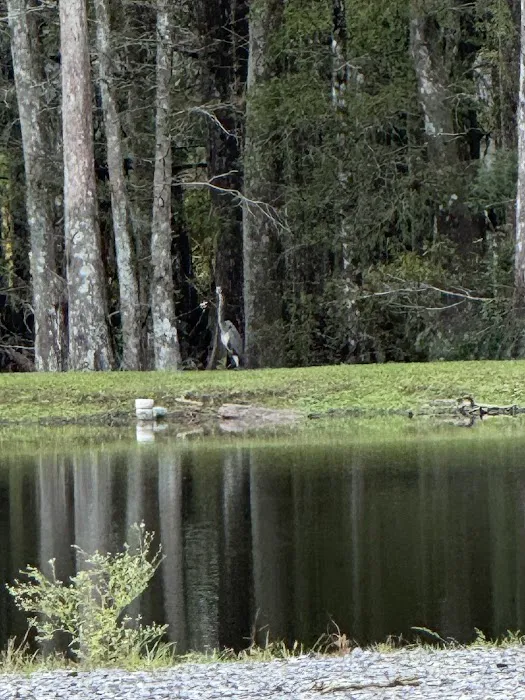 Cypress Haven RV Park Picture 9