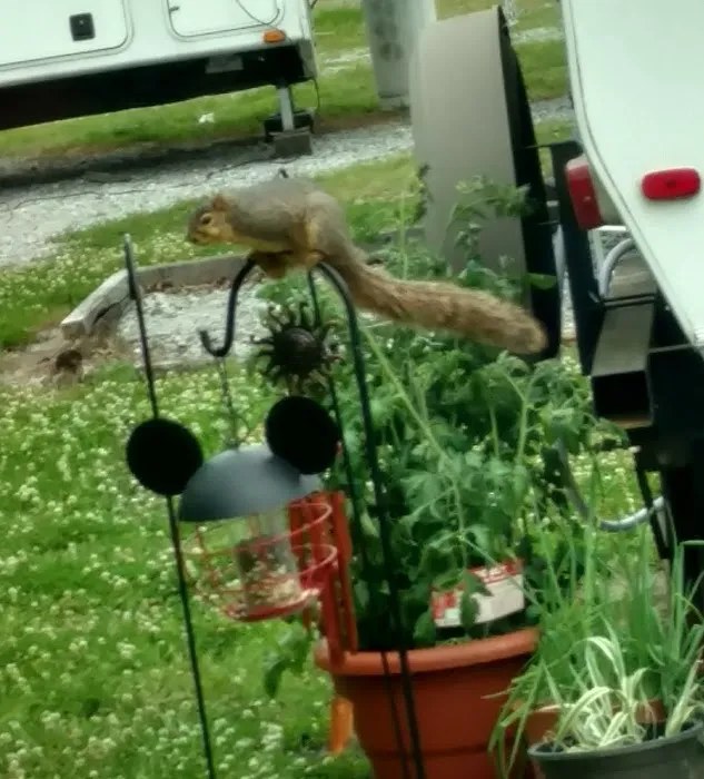 B&B RV Park Picture 10