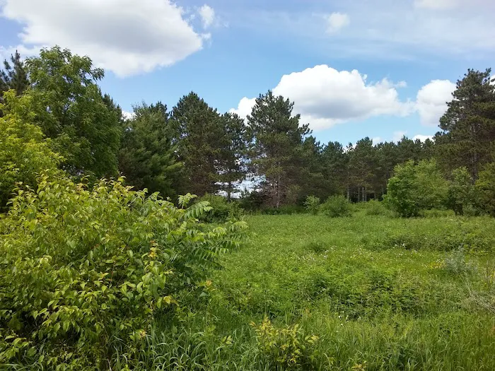 Riverway Campground Picture 1