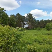 Riverway Campground ico