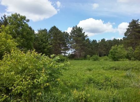 Riverway Campground
