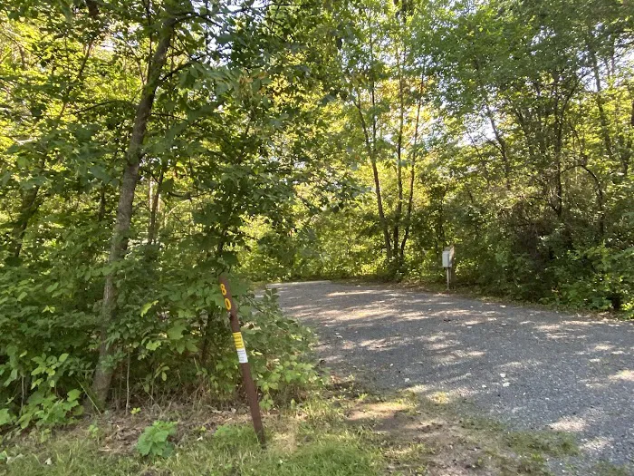 Savanna Campground Picture 6