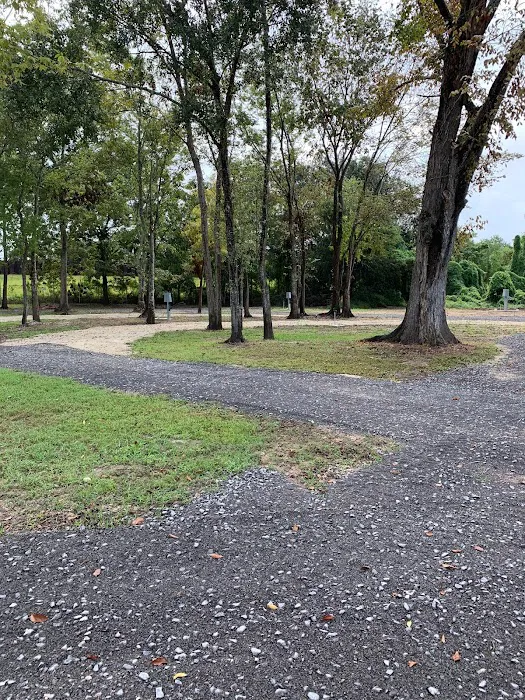 Cajun Country RV Park Picture 8