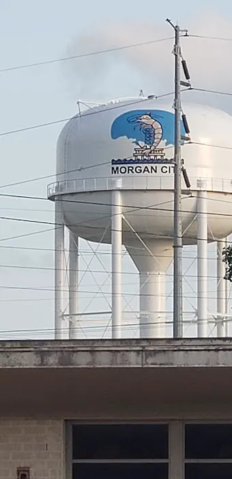 Morgan City RV Park Picture 7