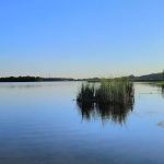 Ham Lake Resort