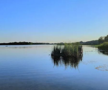 Ham Lake Resort