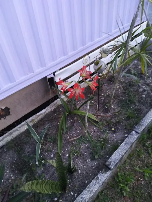 W D Trailer Park Picture 2