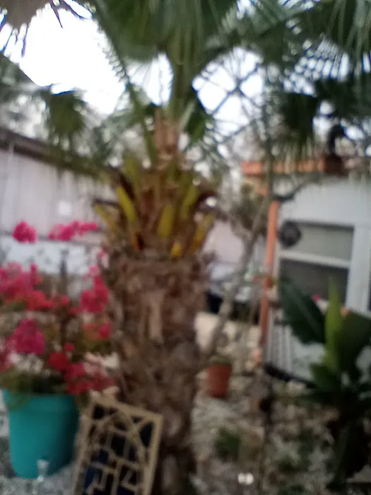 W D Trailer Park Picture 4