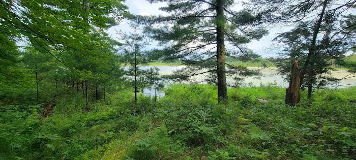 Seneca Campsite Picture 5
