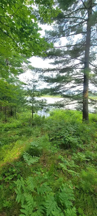 Seneca Campsite Picture 4