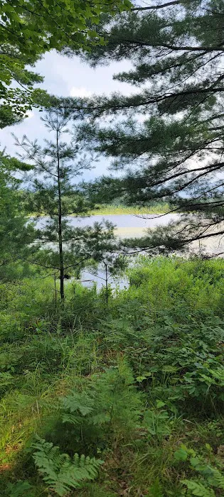 Seneca Campsite Picture 3