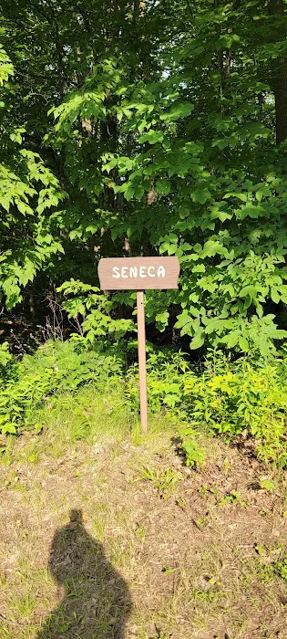 Seneca Campsite Picture 2