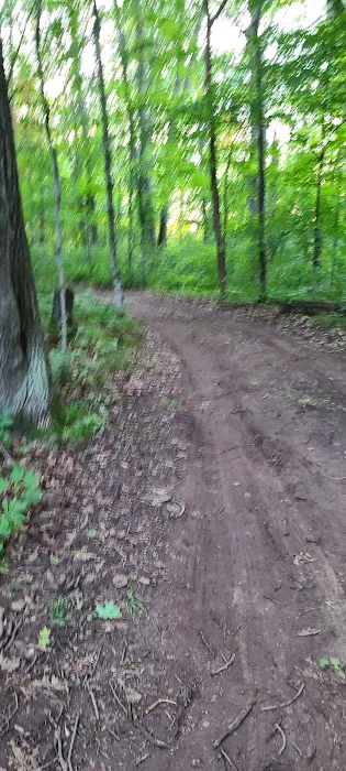 Seneca Campsite Picture 8