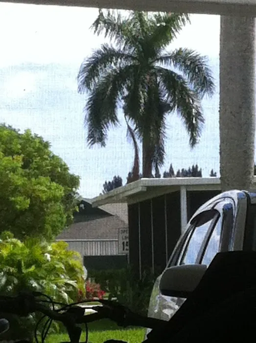 Colonial Estates Mobile Home Park Picture 10