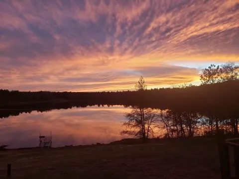Wheelers RV Park Picture 4