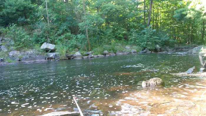 Clam Falls Campground Picture 2