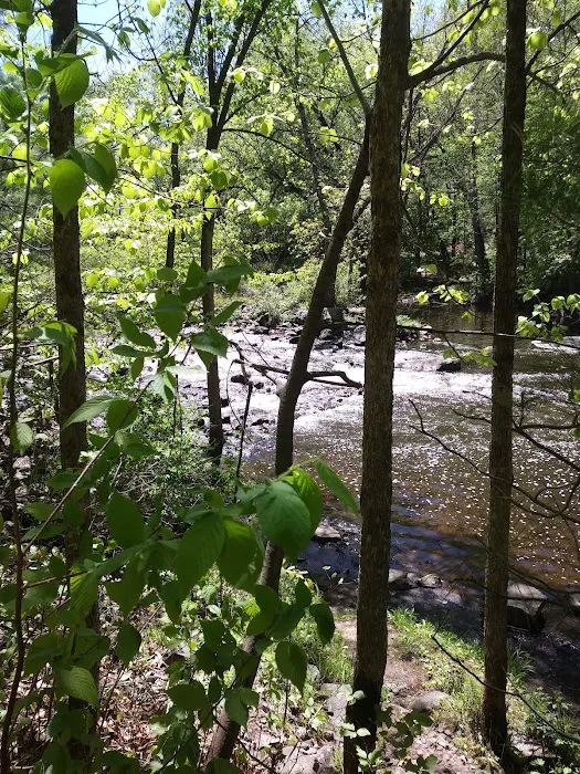 Clam Falls Campground Picture 8