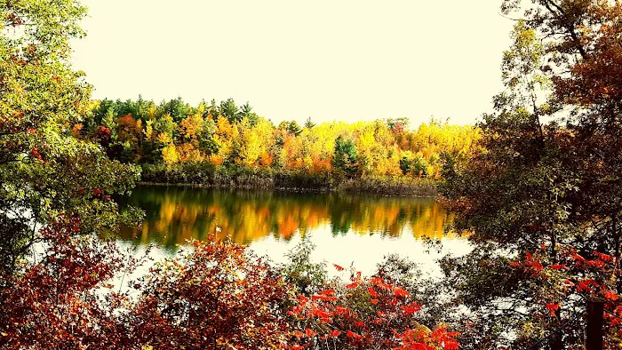 Scenic View Campground Picture 9