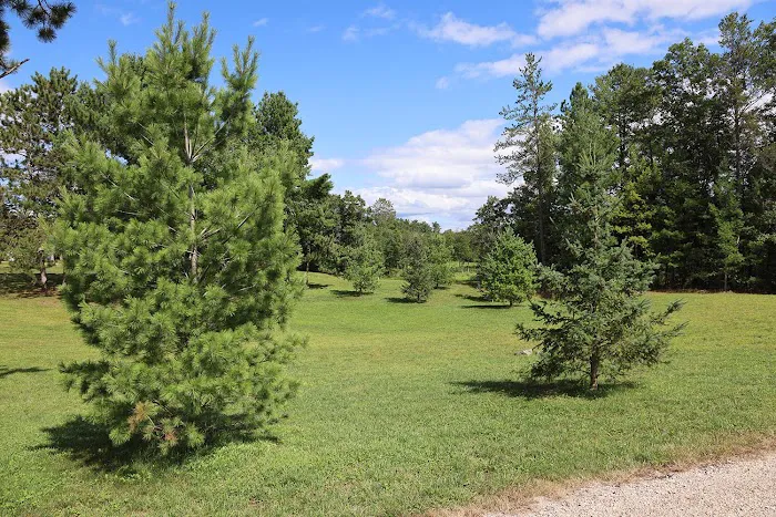Camp Rivers Campground Picture 5