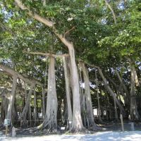 Big Butternut Campground ico