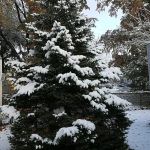 Ridge Village Mobile Home Park