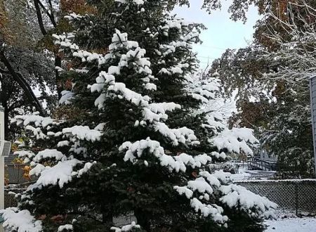 Ridge Village Mobile Home Park