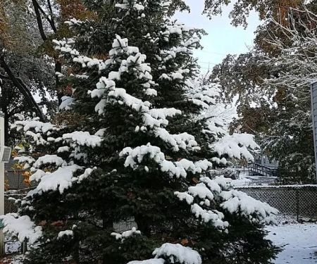 Ridge Village Mobile Home Park