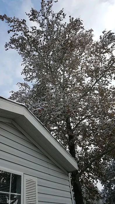 Ridge Village Mobile Home Park Picture 2
