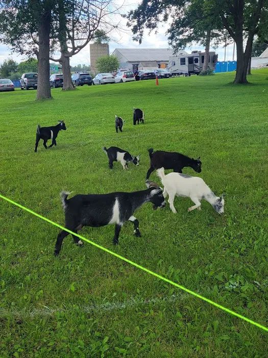 Minnesota River Valley Sanctuary Picture 8