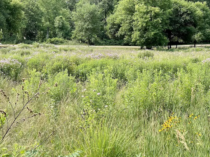 Beaver Falls County Park Picture 7