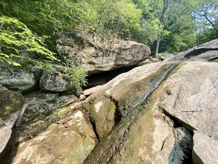 Beaver Falls County Park Picture 8