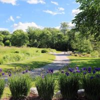 Beaver Falls County Park ico