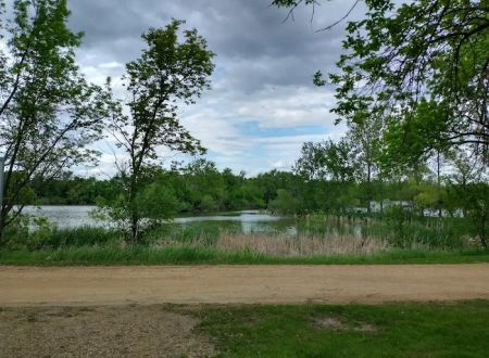 Caven's Landing
