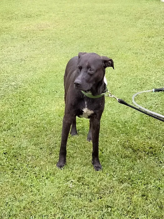 Pecan Lake Mobile Home Park Picture 4