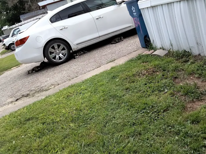 Pecan Lake Mobile Home Park Picture 10