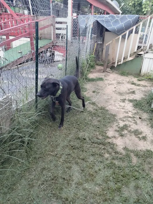 Pecan Lake Mobile Home Park Picture 8