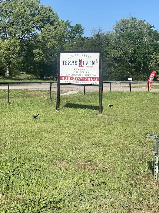Texas Livin' RV Park Picture 7