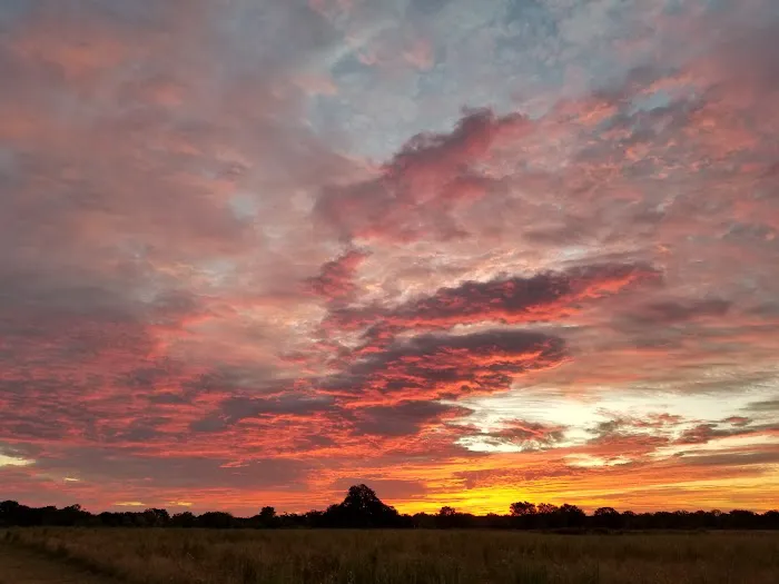 Lone Star RV Ranch Picture 7