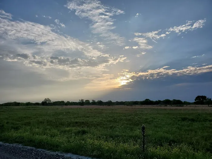 Lone Star RV Ranch Picture 4