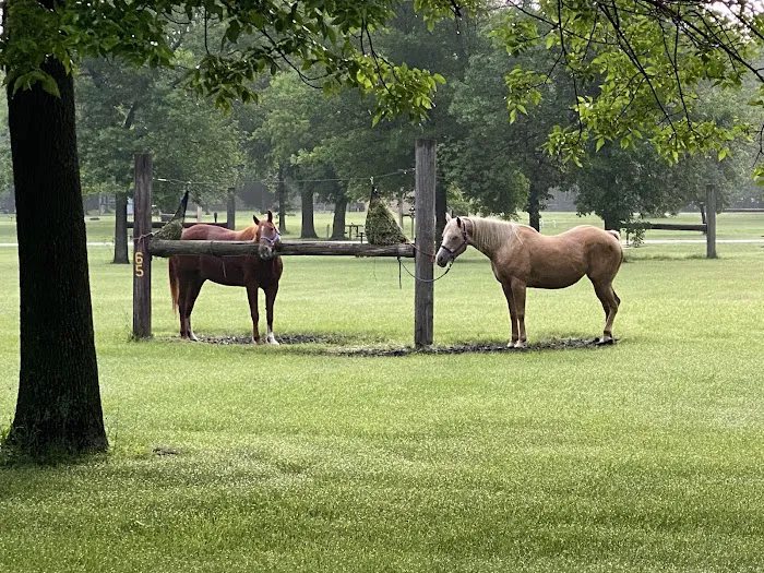 Brushy Creek North Equestrian Campground Picture 10