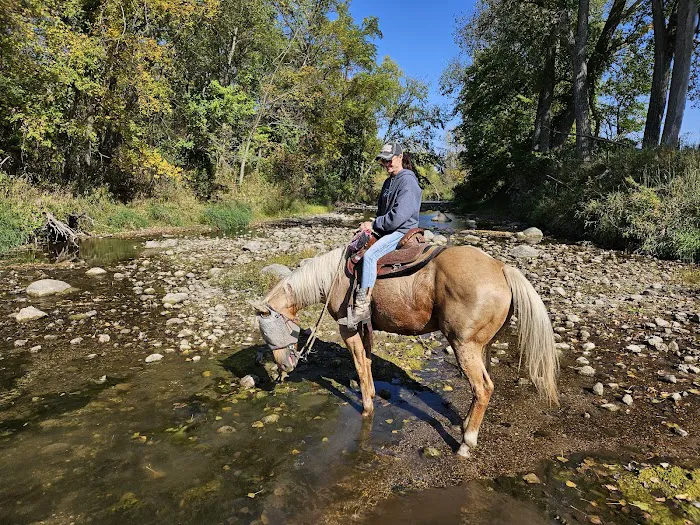 Brushy Creek South Equine Campground Picture 9