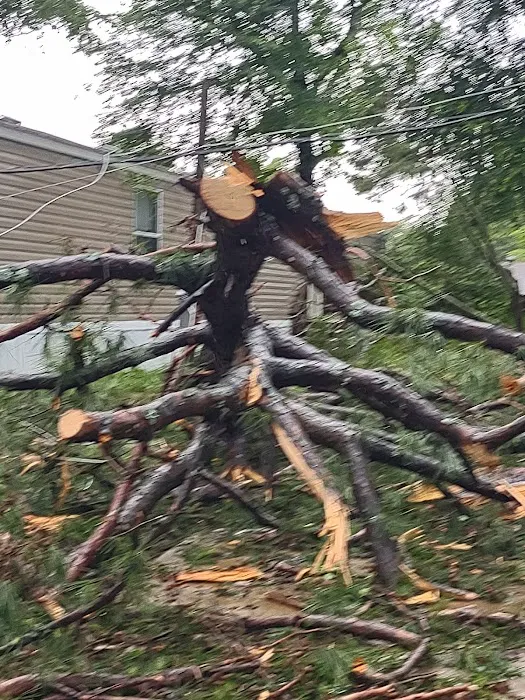 The Grove at Brookhollow Picture 4