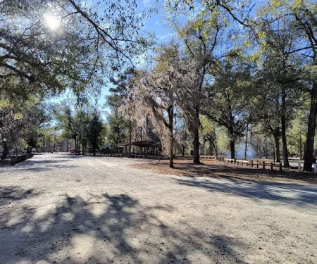 Hales Landing Campground
