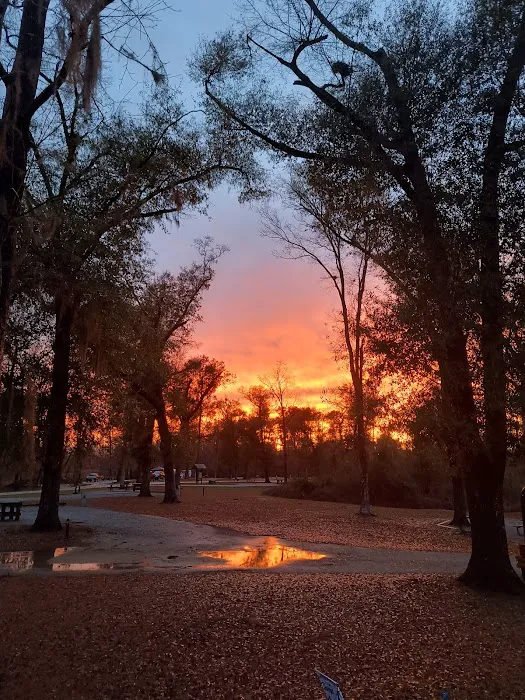 Hales Landing Campground Picture 7